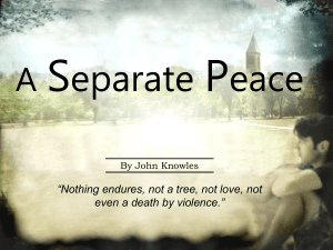 A Separate Peace: Novel Overview & Themes | Presentation