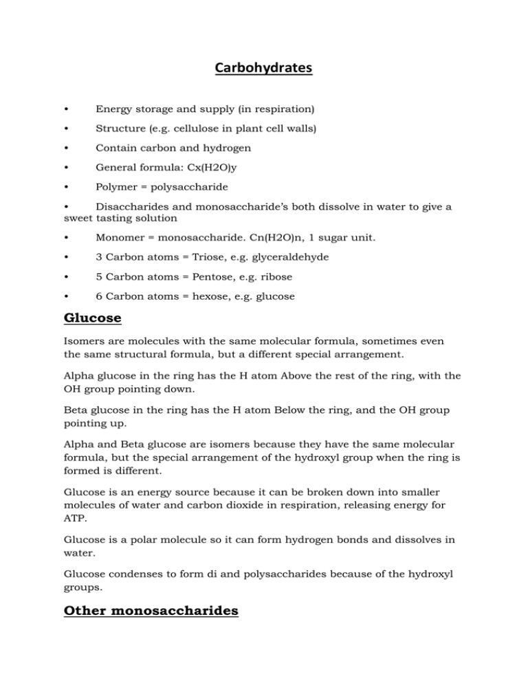 Carbohydrates A Level Notes