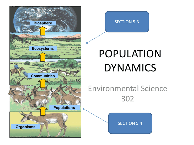 Population Dynamics