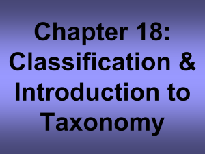 Chapter 17: Classification & Introduction to Taxonomy