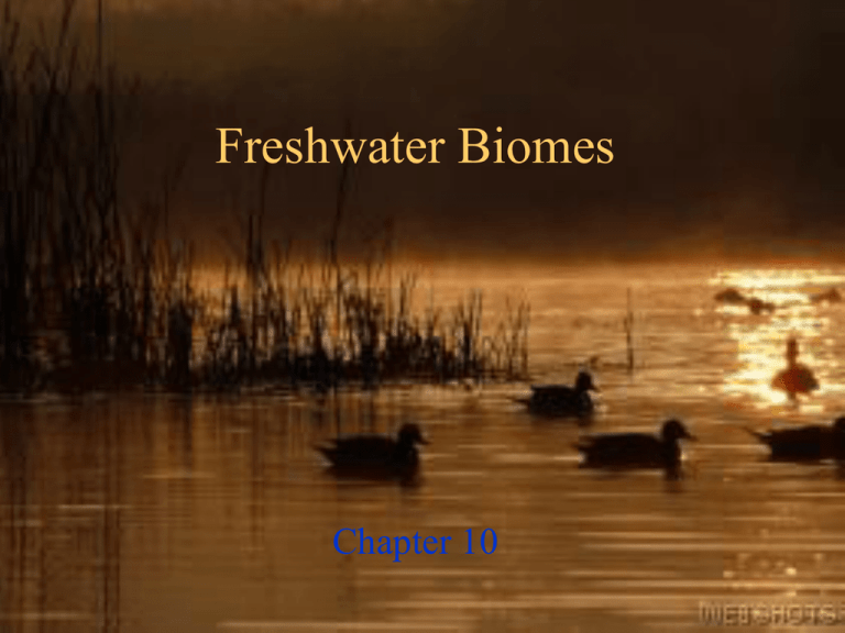 aquatic-ecosystems-omics-publishing-group-international-science