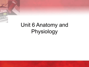 Unit 6 - Anatomy and Physiology - Delmar