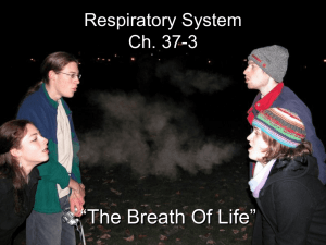 Respiratory System Notes 1112