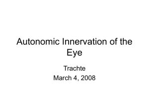 Autonomic Innervation of the Eye