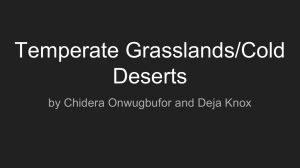 Temperate Grasslands & Cold Deserts: Biome Overview