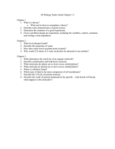 Study Guide Test Chapters 1-3