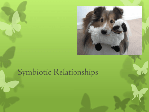 Symbiosis