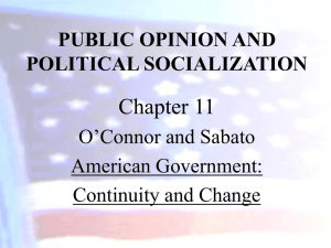 public opinion and political socialization
