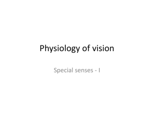Physiology of vision