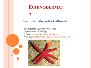 Arthropods