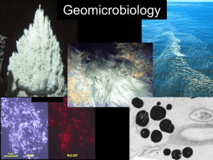 Lecture 1 - Geomicrobiology Intro