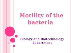 Bacterial Motility: Flagella, Chemotaxis, and Observation Techniques