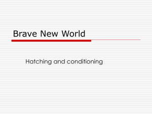Brave New World - Städtisches Gymnasium Borghorst