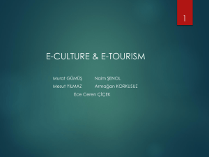 E-CULTURE & E