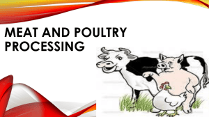 Meat and Poultry Processing: Types, Cuts, and Methods