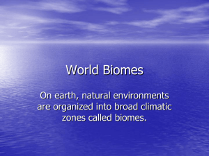 World Biomes