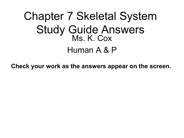 Skeletal System Study Guide Answers - Human A&P