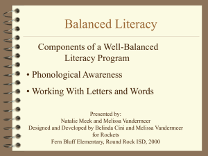 Literacy Instruction for the Primary Student