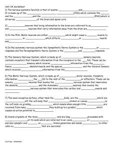 3A Worksheet
