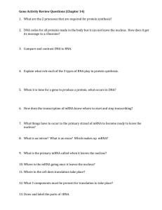 Gene Activity Review Questions
