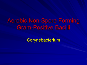 Aerobic Non-Spore Forming Gram