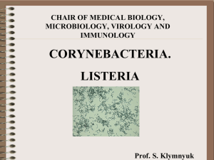 Corynabacteria. Listeria