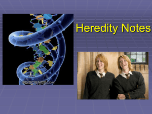 Heredity Notes - Madison County Schools