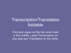 Transcription & Translation Foldable Activity