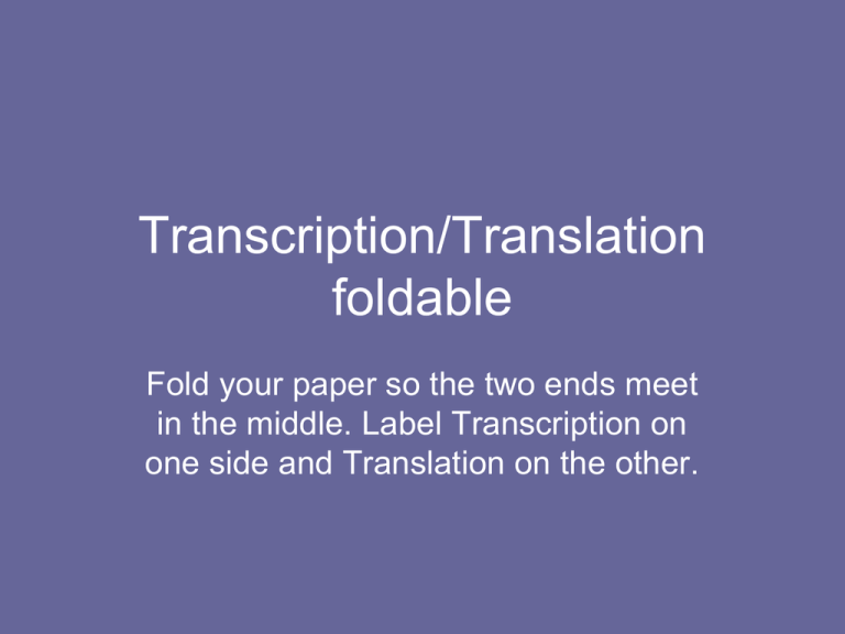 Transcription & Translation Foldable Activity