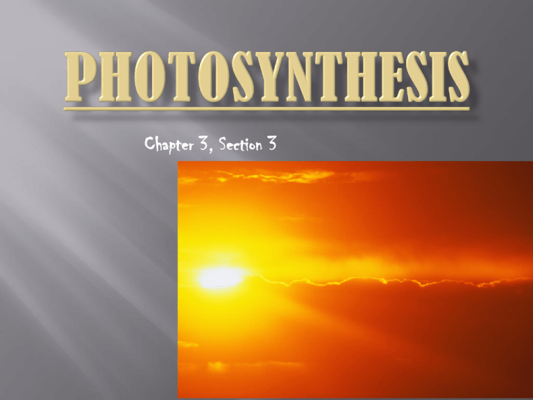 photosynthesis