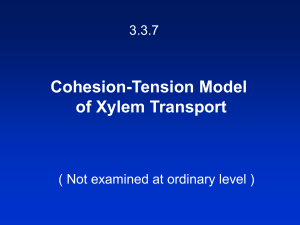 3.3.7.H Xylem Transport - LC Biology 2012-2013