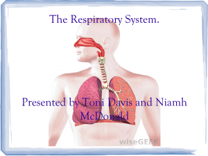 The Respiratory System. Presented by Toni Davis and Niamh