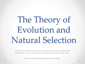 Mechanisms of Evolution