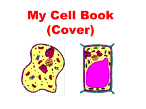 What is a cell?