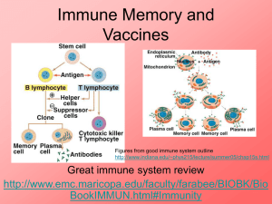 Immune Memory and Vaccines: B-cells, T-cells, and Immunity