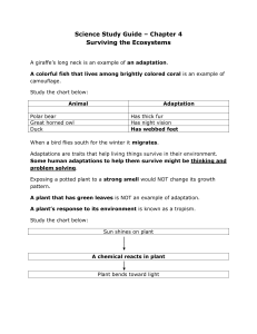Ch. 4 Study Guide
