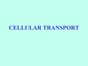 Cellular Transport – Tonicity and Review