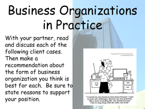 Business Organizations: Case Studies & Analysis