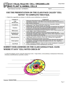 Unit 3 Study Sheet #4: CELL ORGANELLES