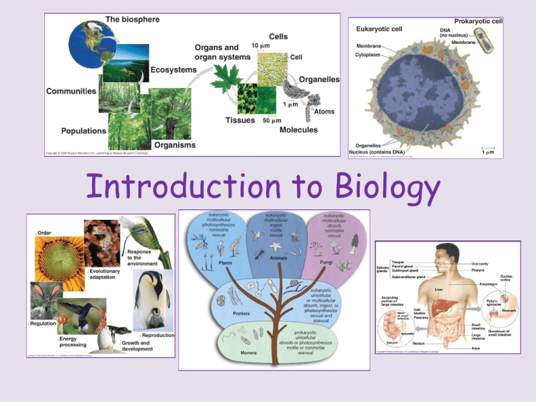 1 Intro To Biology   010027928 1 Fdfd186690dd22bafdec9fac8d645ee9 768x994 