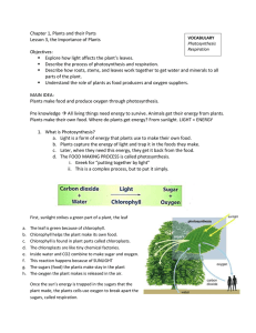 Photosynthesis & Respiration: Plant Lesson