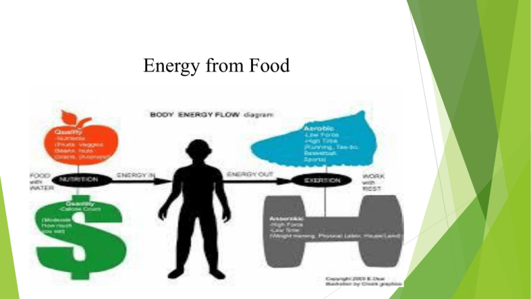 What Are The 2 Main Sources Of Food Energy