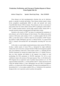 Production, Purification, and Cleavage of Tandem Repeats of