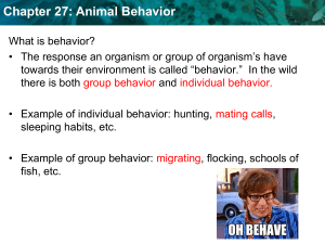 Animal Behavior: Types, Stimuli, Learning & More