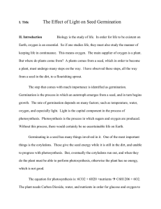 Light Effect on Seed Germination: Lab Report