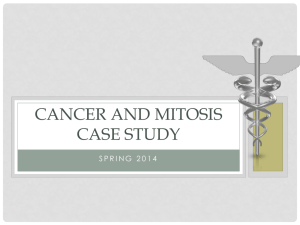 Cancer and mitosis case study
