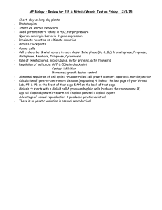 2.E & M/M Test Review
