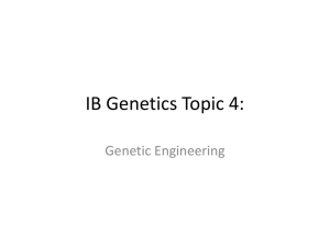 IB Genetics Topic 4