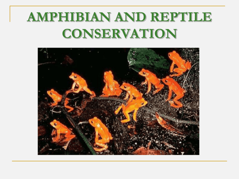 SUMMARY OF AMPHIBIAN DECLINE ISSUES