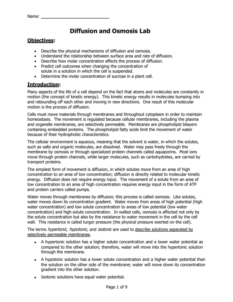 LAB 04 Diffusion and Osmosis